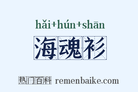 海魂衫是什么意思的图片